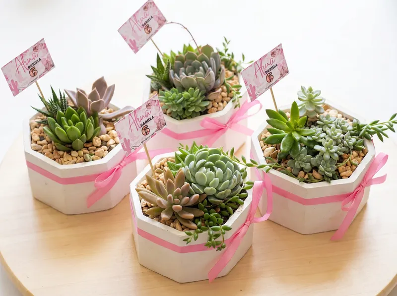 Detalle Modelo Jardín